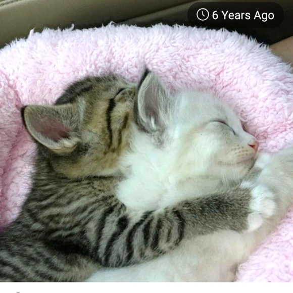 Meet your Posher, Rick's - Picture 1 of 1